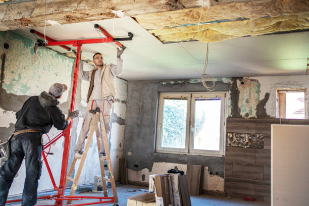 Best Insulation Maintenance and Repair in Hayfield, VA
