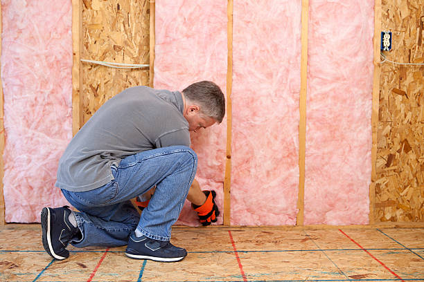Best Energy Efficiency Solutions in Hayfield, VA