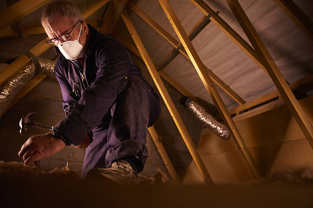 Best Insulation Installation Services in Hayfield, VA